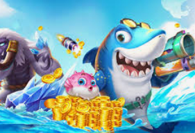 云开足球平台客户端