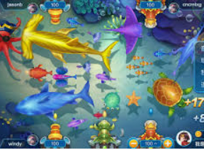 云开足球平台正式版