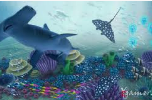 云开足球平台电脑免费版